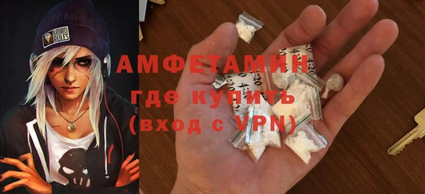 шишки Белоозёрский