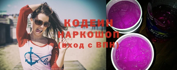 шишки Белоозёрский