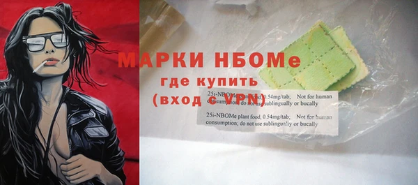 шишки Белоозёрский