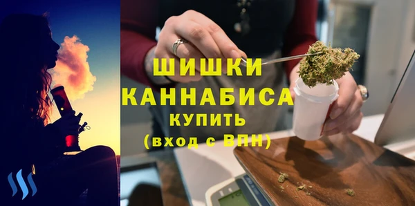 шишки Белоозёрский