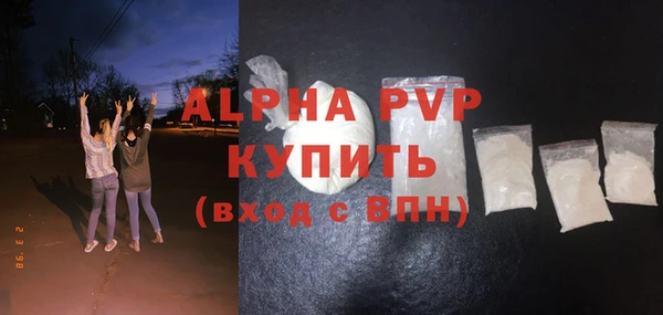 шишки Белоозёрский