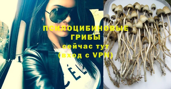 шишки Белоозёрский