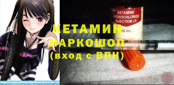 шишки Белоозёрский