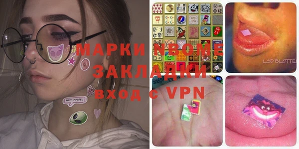 шишки Белоозёрский