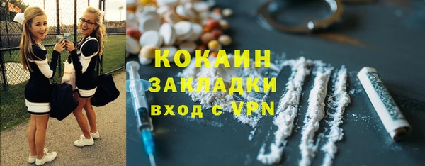 соль ск Белокуриха
