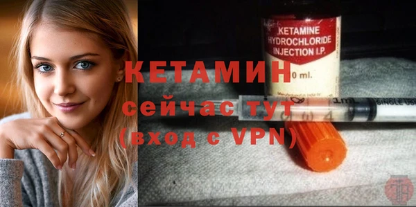 шишки Белоозёрский
