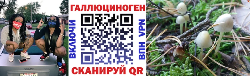 Купить где  Карасук  Псилоцибиновые грибы мухоморы 